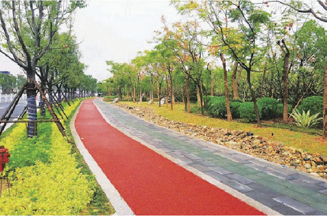 吴起洛滨路与长征街绿化